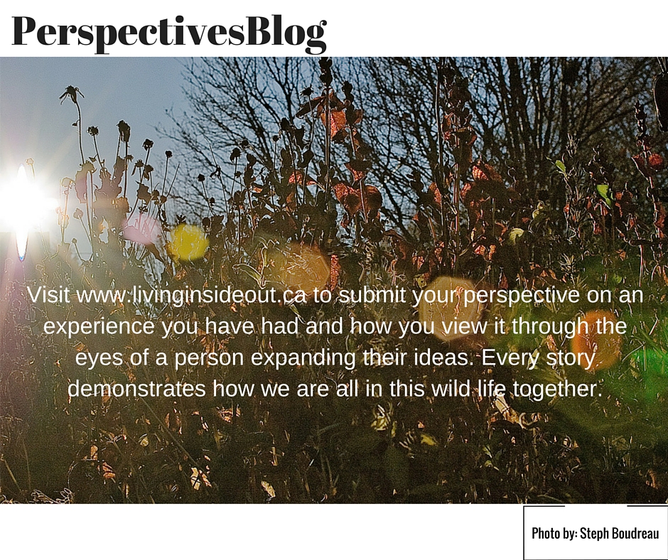 What is your Perspective?